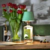 TOP 2.0 - RGB fleslamp Olijfgroen - Afbeelding 3